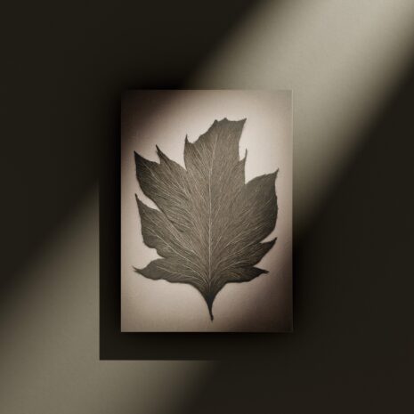 Quiet Sprout Poster Mockup 1